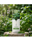 Aceite esencia. 10 ml. ALBAHACA. 1 unidad.