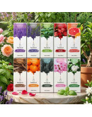 Aceite esencia. 10 ml. GARDENIA. 1 unidad.